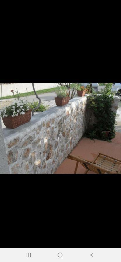 Basil Apartments And Rooms بيتينا المظهر الخارجي الصورة