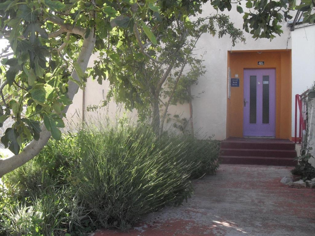 Basil Apartments And Rooms بيتينا المظهر الخارجي الصورة